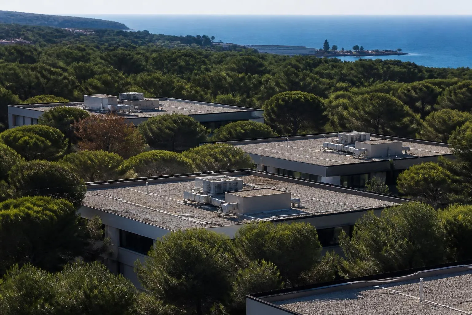 Vue en plongée sur les toits de Sophia Antipolis, avec la mer au loin et les collines de pins