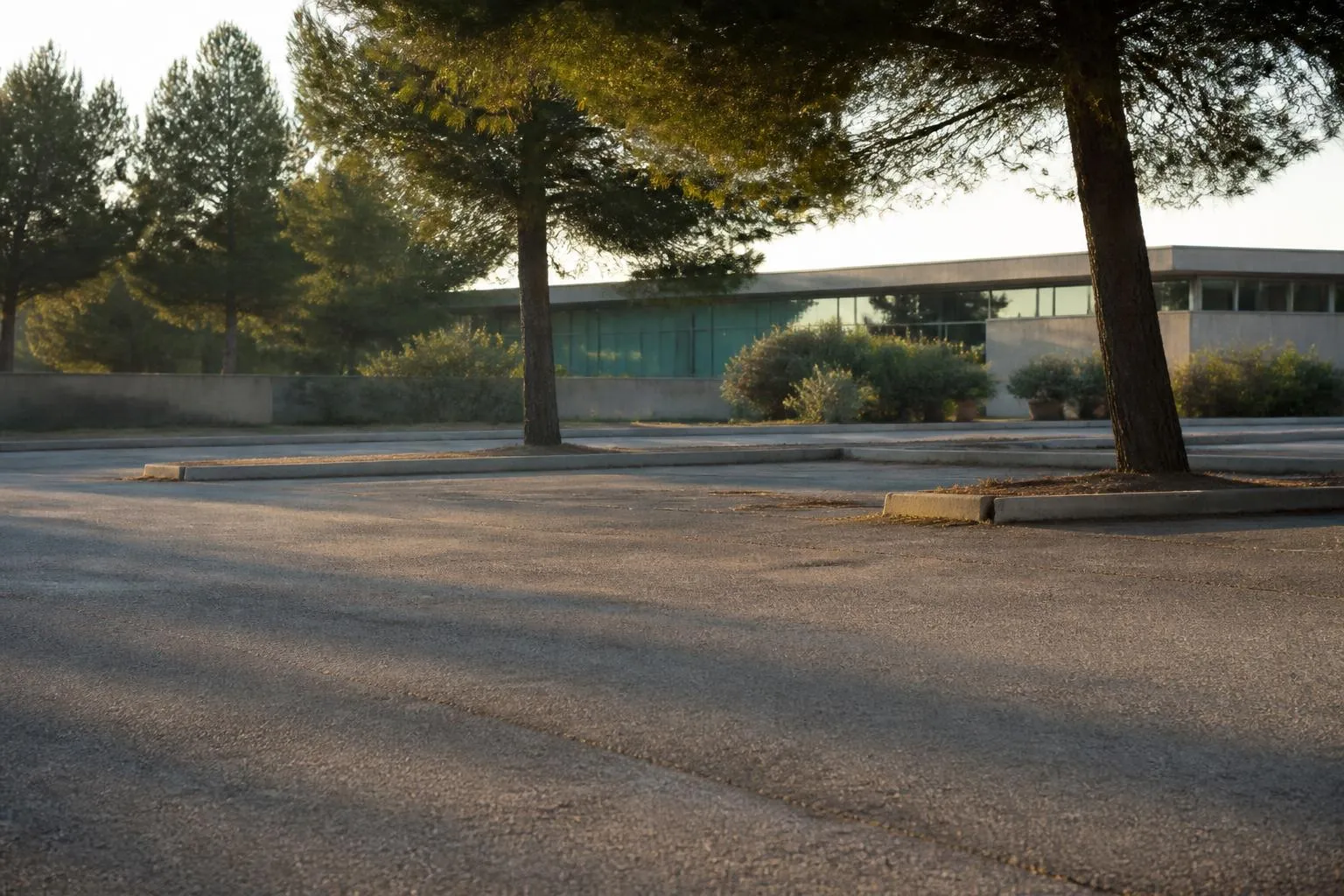 Le campus SophiaTech au milieu des pins de Valbonne, bâtiments bas et parking d'étudiants